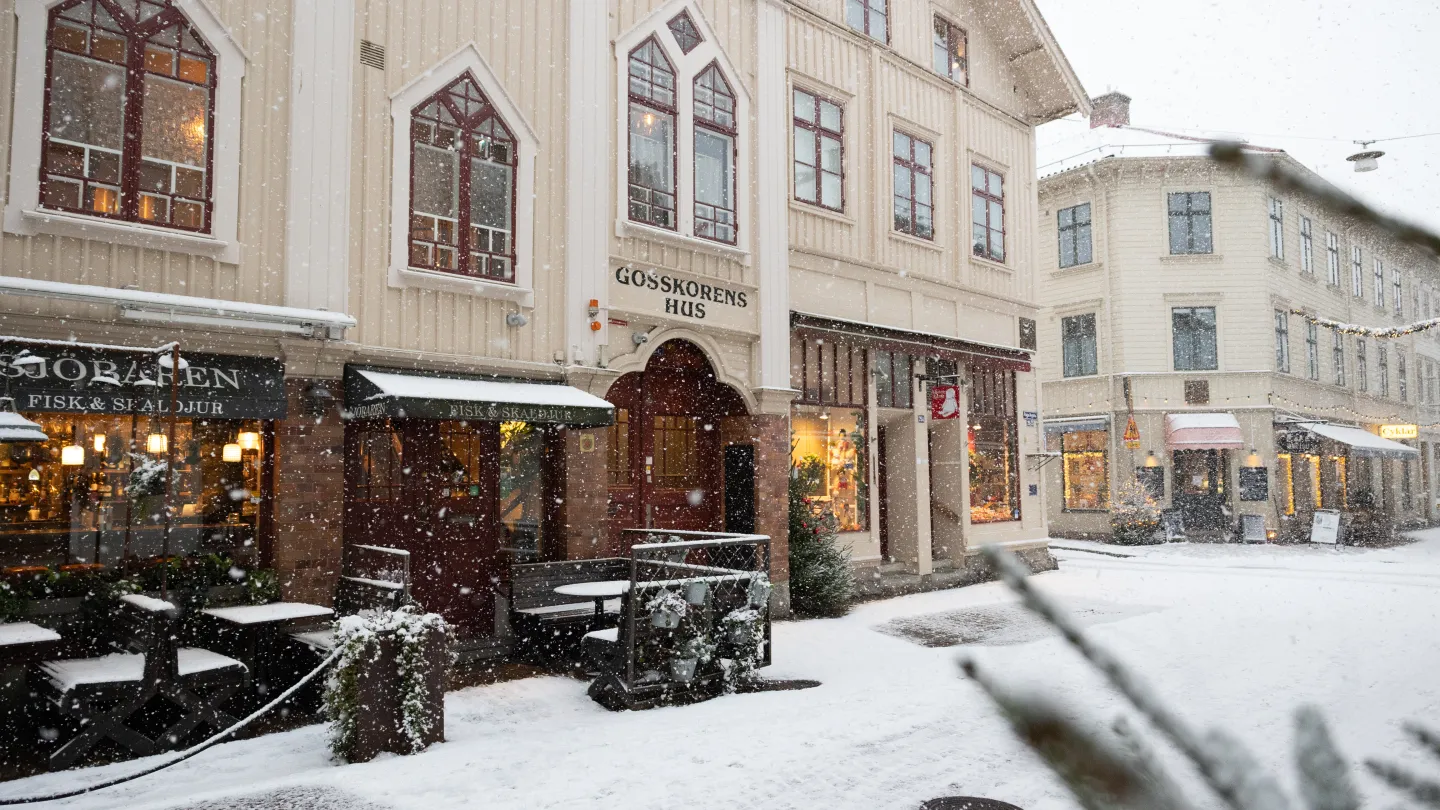 Haga Nygata Vinter